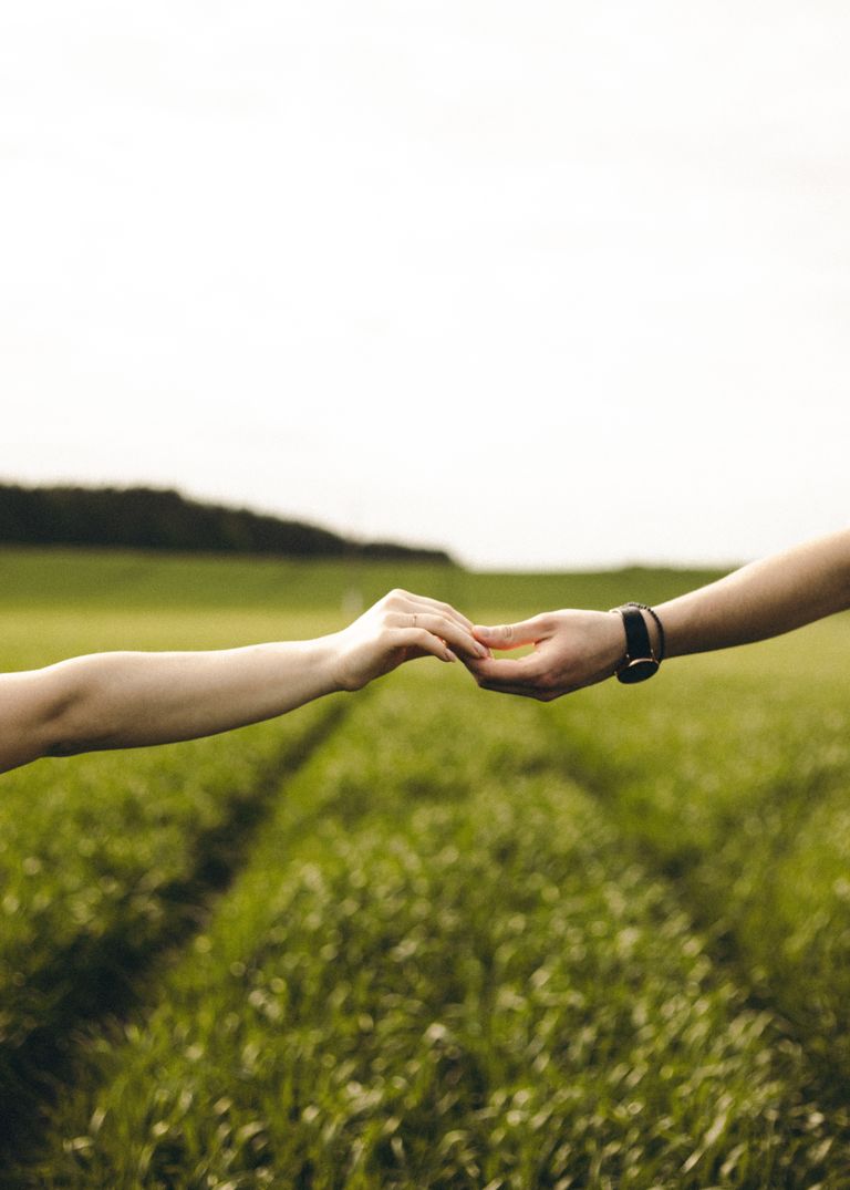 Two hands gently touching in a lush green field, showing love and connection.